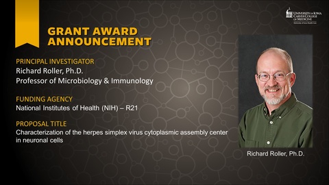 New Funding - Richard Rollr - NIH