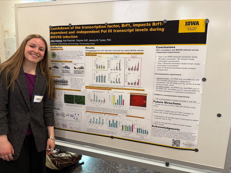 2026 Undergraduate Poster Symposium image Nyberg