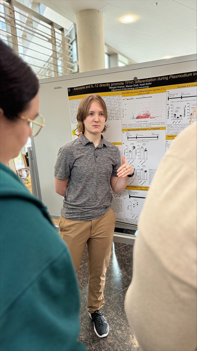 2026 Undergraduate Poster Symposium image