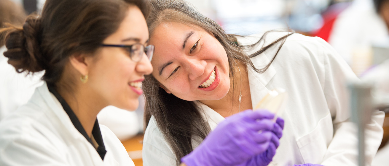 Lab researchers looking at samples