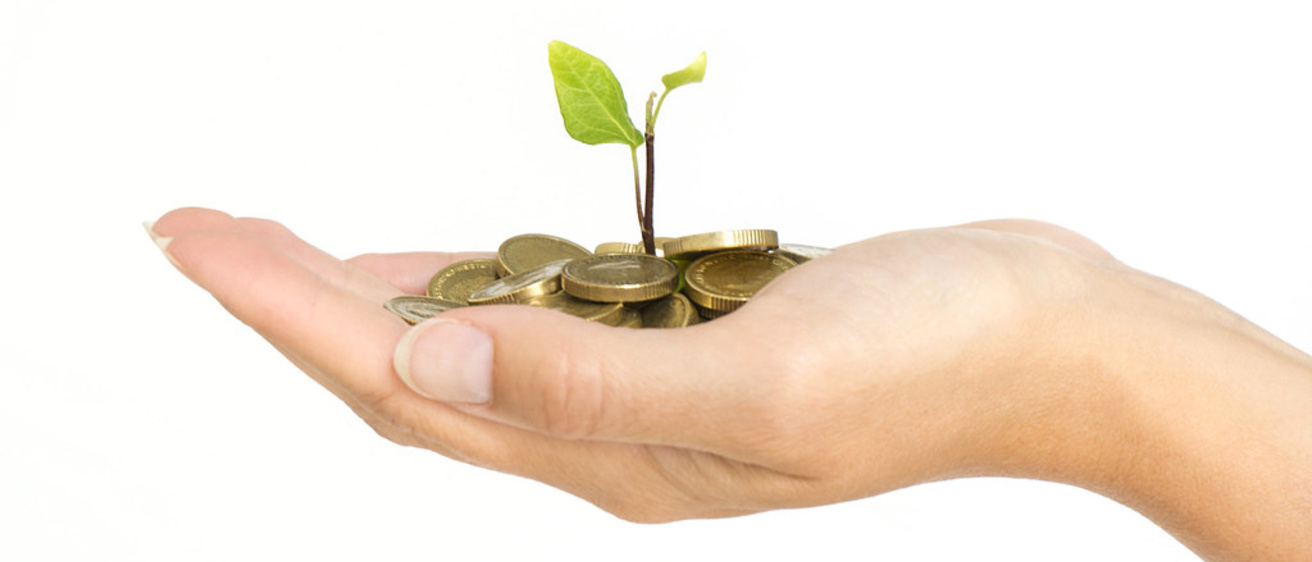 Financial Support - coins and a tree in palm of hand