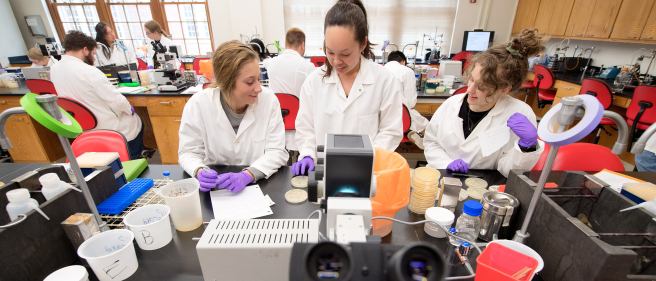 students in Bacteria and Human Disease Lab