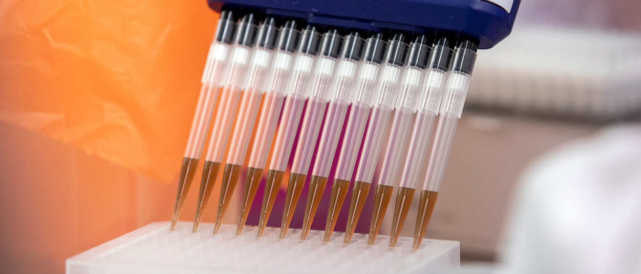 Lab image