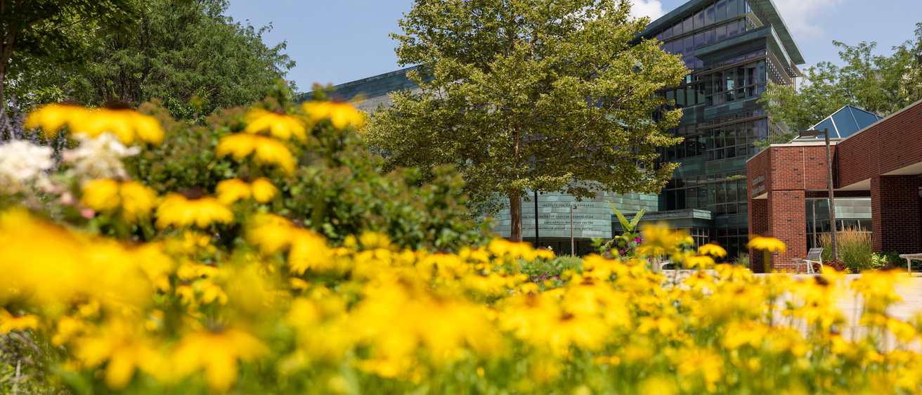 CCOM Campus in Summer