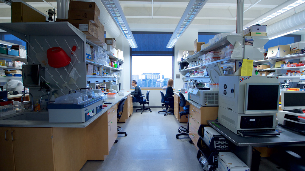 lab photo UI Health Care