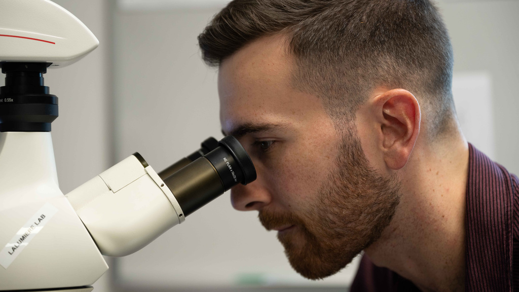 Researcher looks into microscope