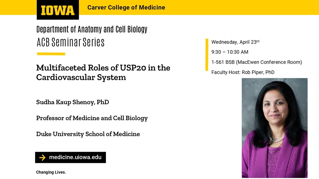 ACB Seminar Series - Sudha Shenoy  promotional image